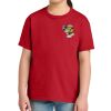 Youth Softstyle ® Midweight Tee Thumbnail