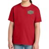 Youth Softstyle ® Midweight Tee Thumbnail
