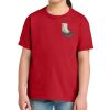 Youth Softstyle ® Midweight Tee Thumbnail