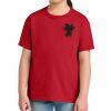 Youth Softstyle ® Midweight Tee Thumbnail